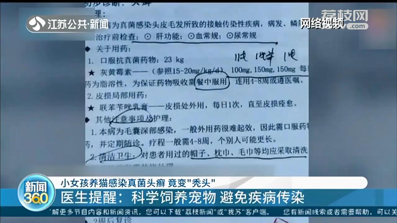 女孩养猫感染真菌头癣变“秃头”，医生：科学养宠物，避免传染病