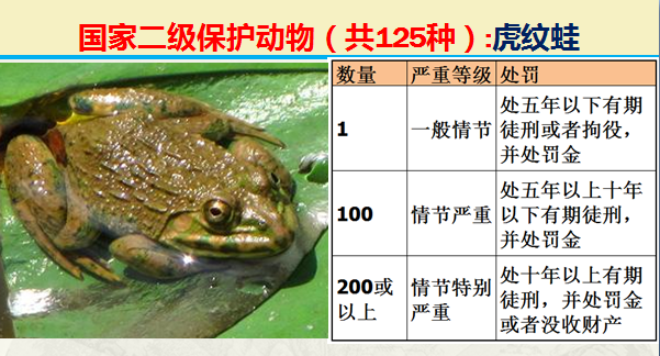 国家最新125类二级野生保护名录，图片及违法对应刑责