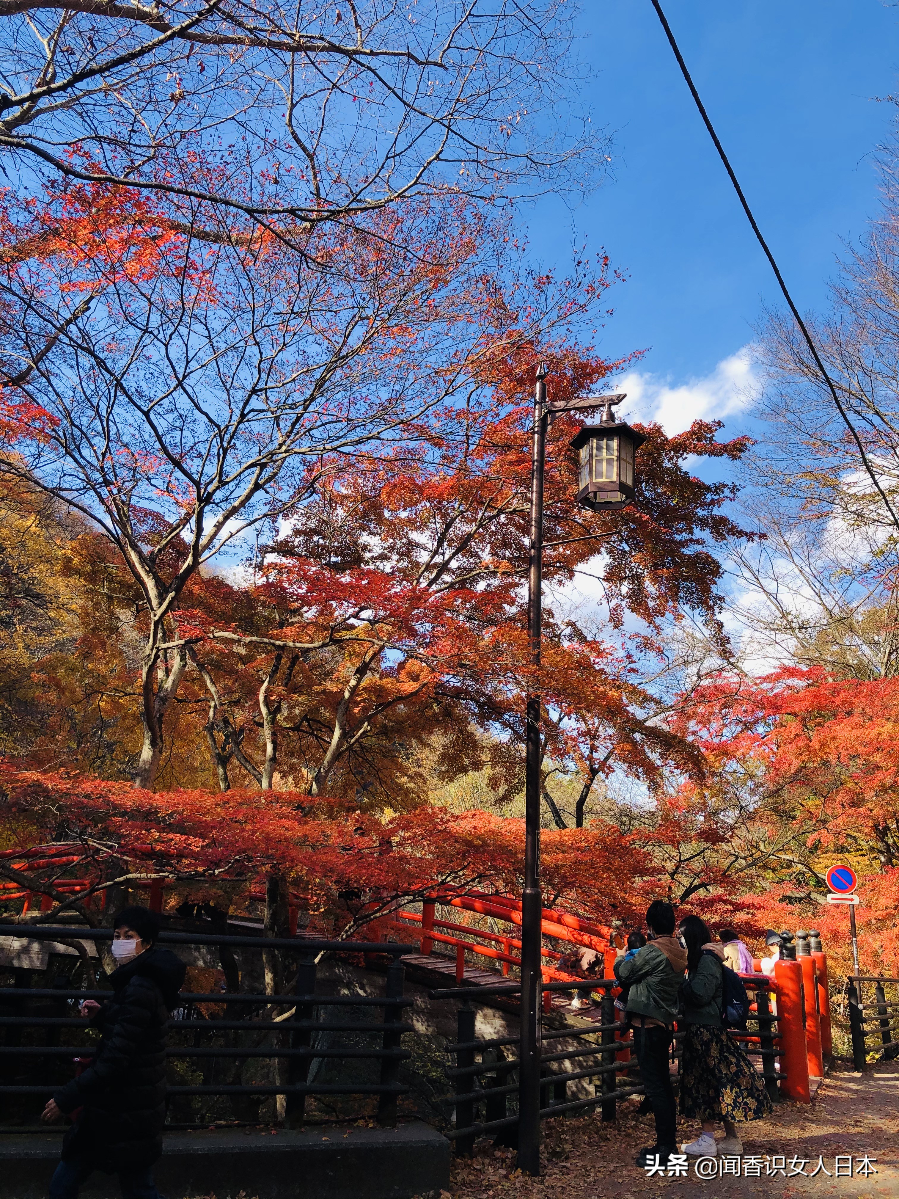 群马县三大名汤之一的伊香保温泉 其中河鹿桥是红叶最佳旅游地点 全网搜