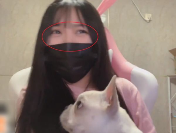 一条小团团露脸直播，王思聪送了16个超火，随后亮了