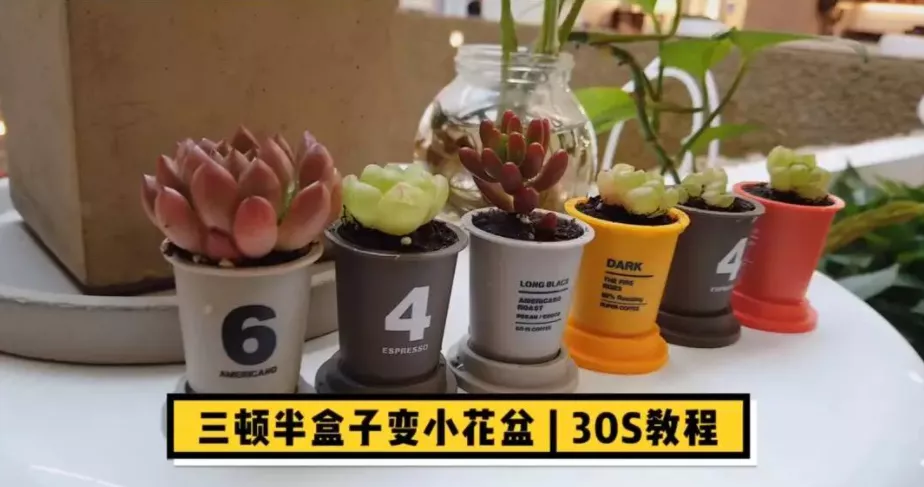 新消费品牌:营销增长20条通关法则