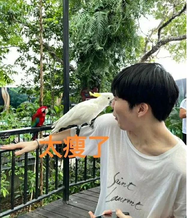 寧王和rookie一起旅遊 中野不和言論不攻自破哦 基遊三兄弟 Mdeditor