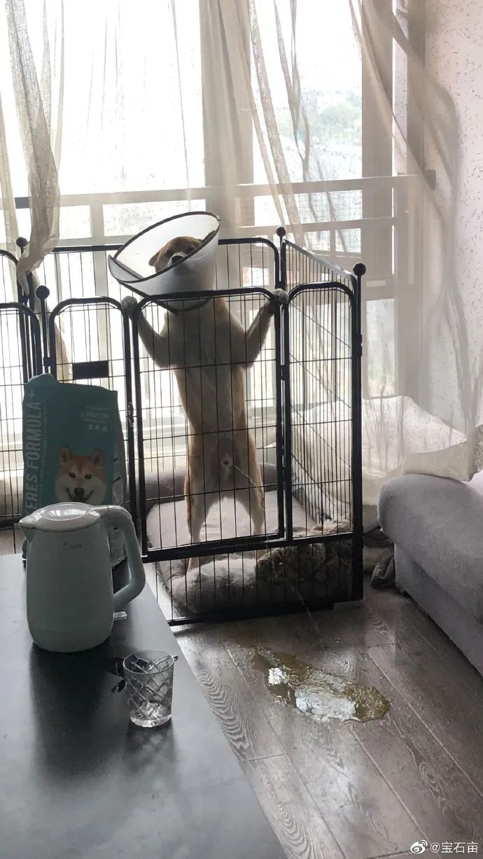 搞笑图片，我只是来搞笑的