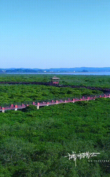 刚过完清明，这个省区又要放假了！全国人民都