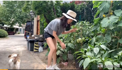 这个时代成年人想要的快乐有多难？致敬每一个