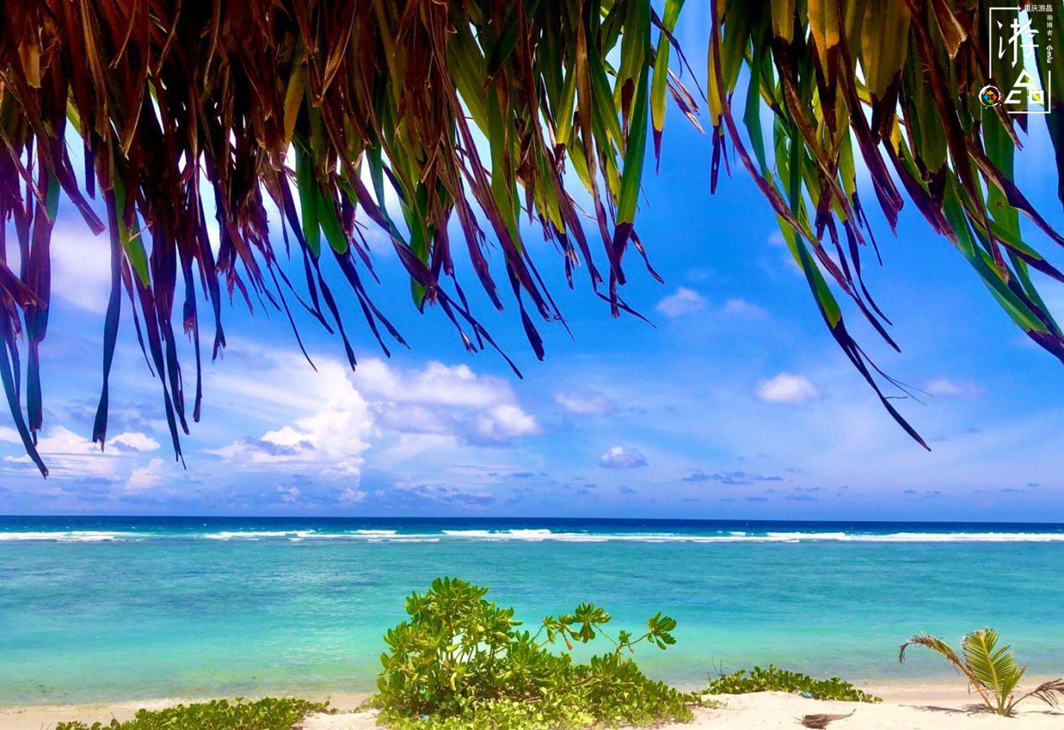 刷屏的马尔代夫重庆分夫，火爆后迅速降温，值得所有人反思