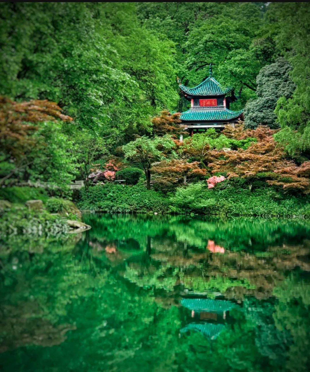 这些大学太美了！网友哭着想重回高考，你最喜欢哪一个？