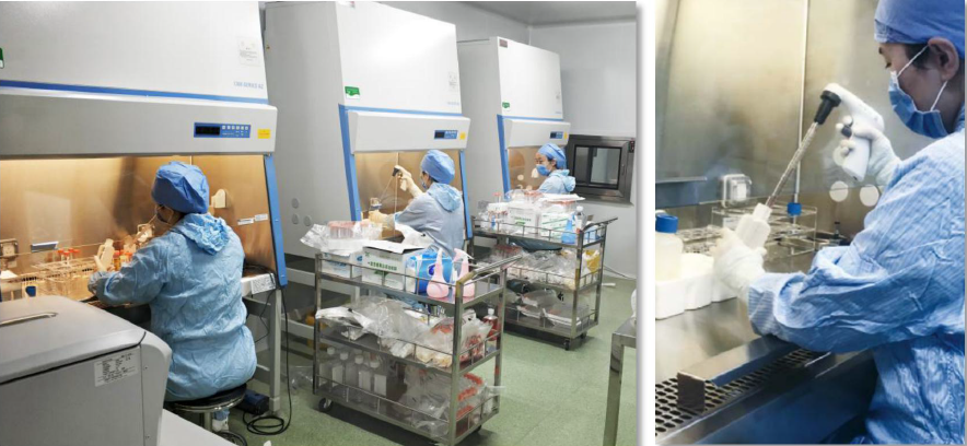 携手造美 济世合德成为第47届洲际小姐大赛唯一指定健康管理机构
