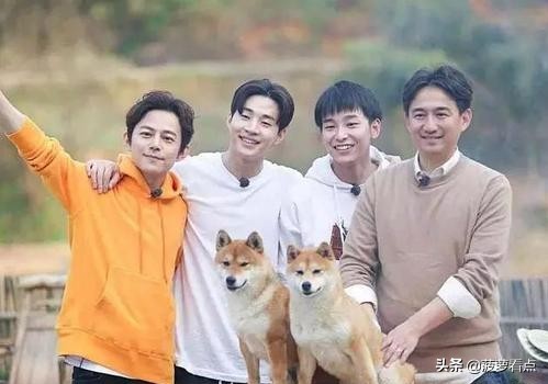 《向往的生活》黄磊做菜其实不好吃，大张伟早