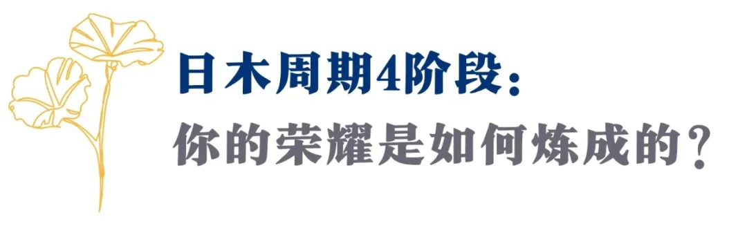 你人生的12年一遇！不是木星回归，这个周期才真能拔高你人生