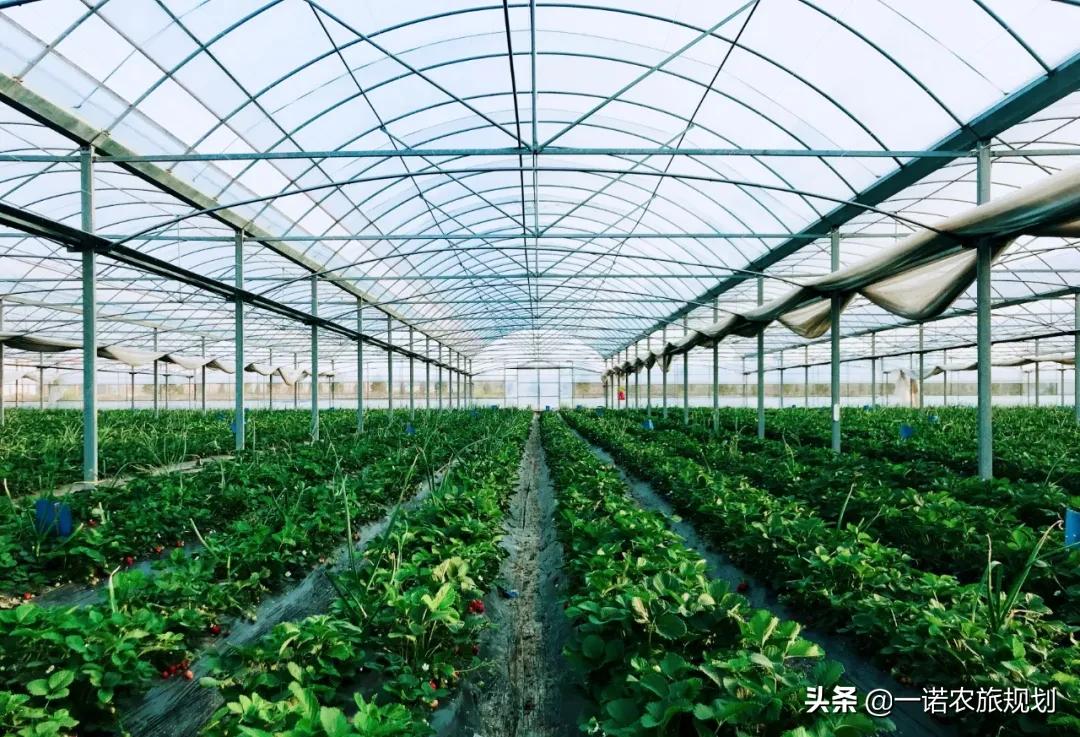 国家现代农业产业园奖补资金方面有何特点？