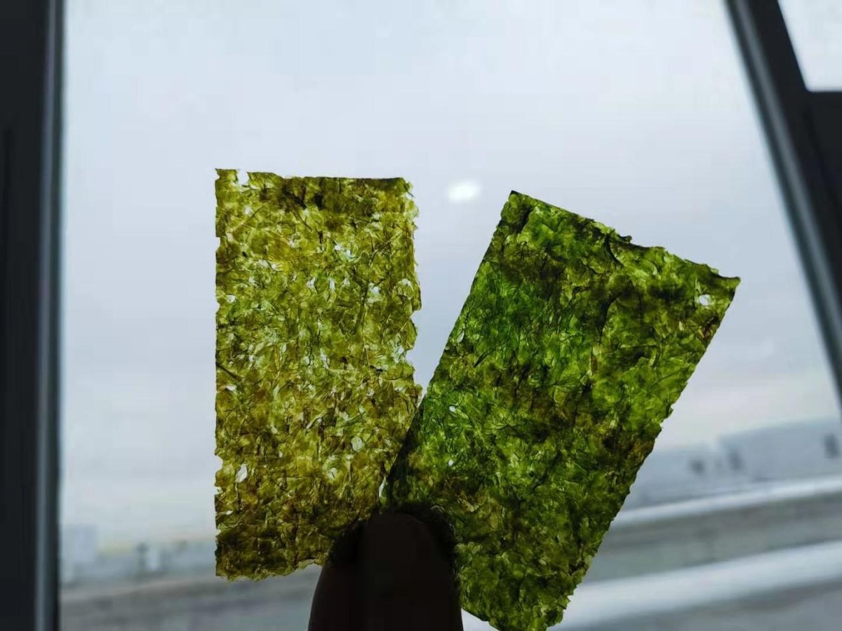 備受媽媽們追捧的九日海苔，到底有什么秘訣？