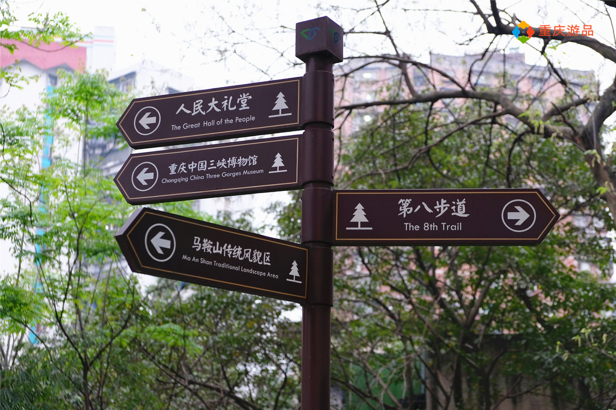 魅力渝中：重庆老社区的新生，枣子岚垭可不仅仅是名字好听