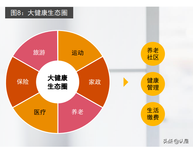 全生命周期风险保障经营模式研究报告