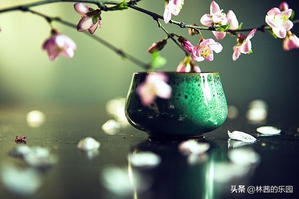 最经典的18首饮酒诗词，载酒江南，一醉人间~-第8张图片-非凡网