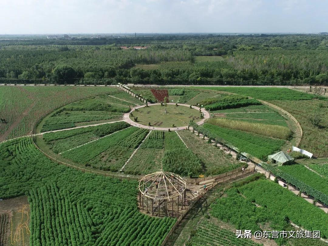花仙谷中草药园景观全新升级！中医药研学新亮点