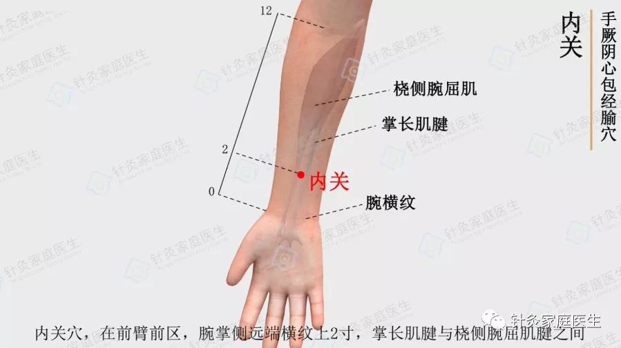 內關穴,解決一切心胸疾病 - 資訊咖