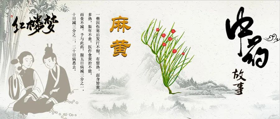 胡庸医乱用麻黄，晴雯病上加病 「红楼梦中药故事」