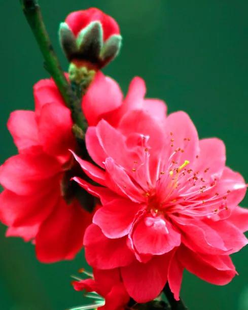 前瞻性思维，优秀文章的先行者