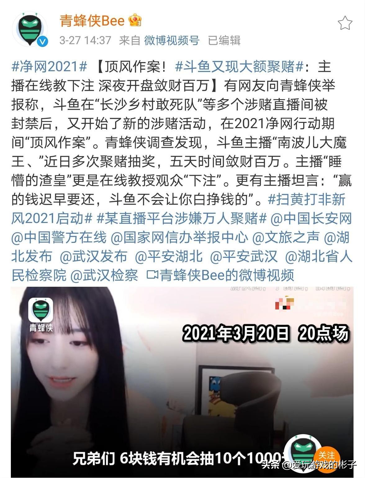 继小团团涉赌被警方调查后，南波儿却顶风作案，被官博点名批评