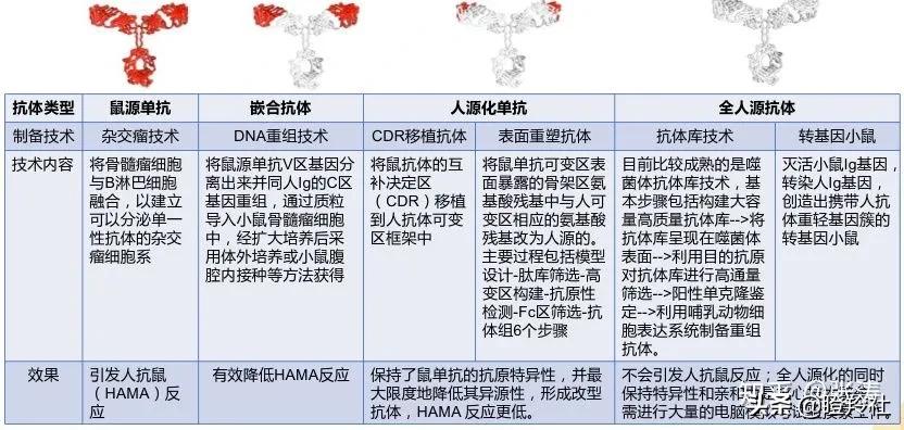 和铂医药，高瓴、GIC、奥博看走眼的平庸医药B？我看未必