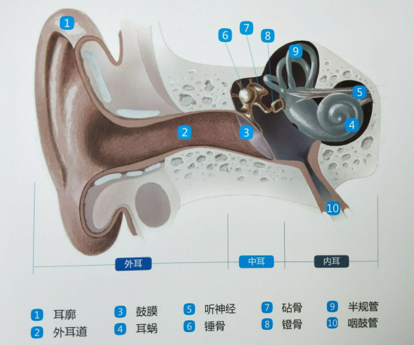 為什么每次聽自己發出去的語音都腳趾抓地？