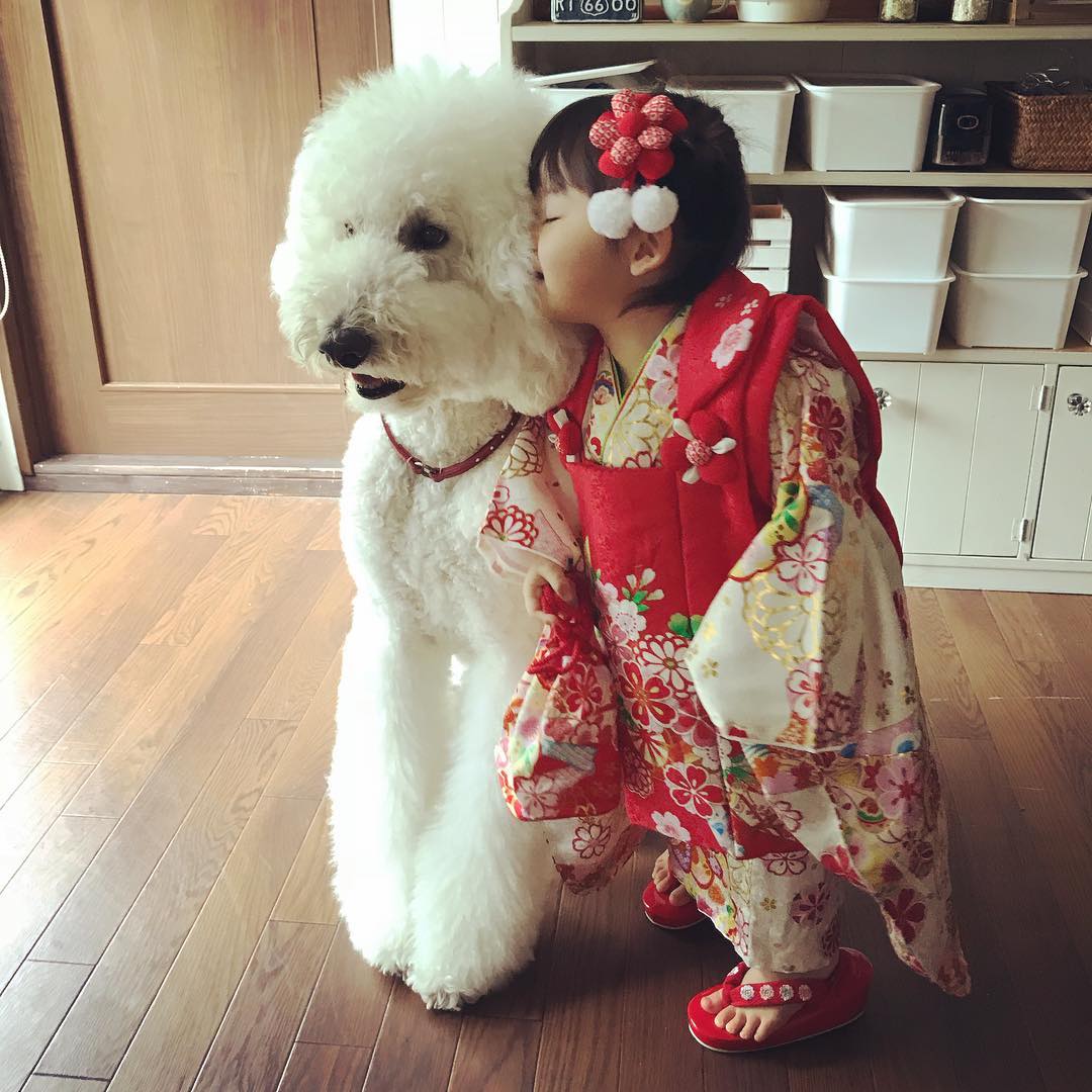 日本老太用贵宾犬给小女孩拍照，结果让你心都融化了