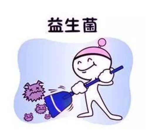 益生菌对人体无益？这说法可信吗？