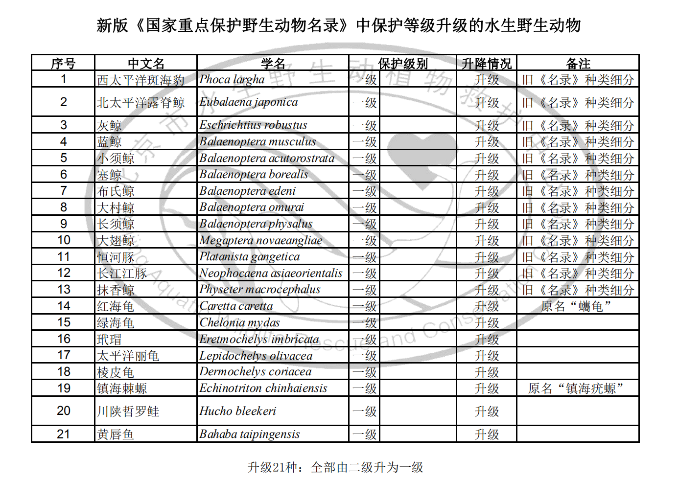 一文读懂新《国家重点保护野生动物名录》水生动物的新变化