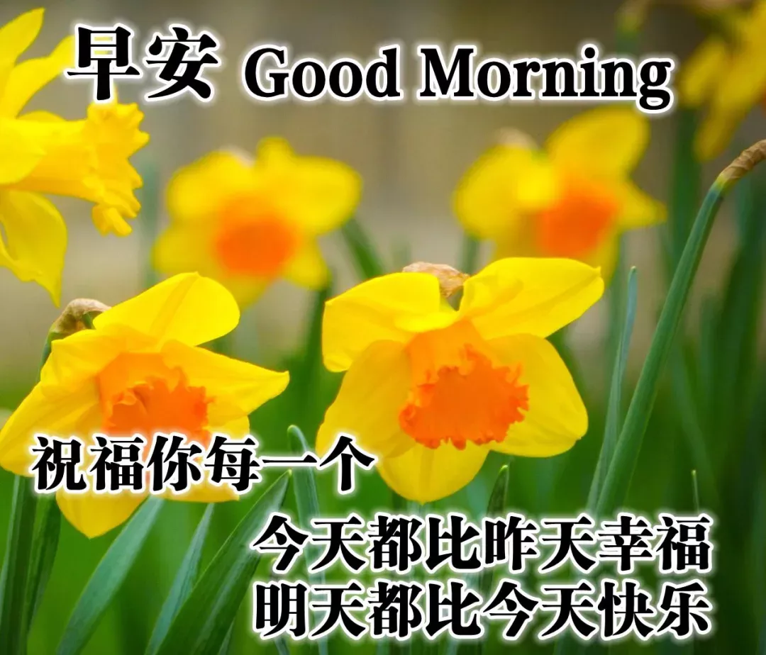 早上好问候语动态表情图文字，微信新的漂亮祝福语图片图片