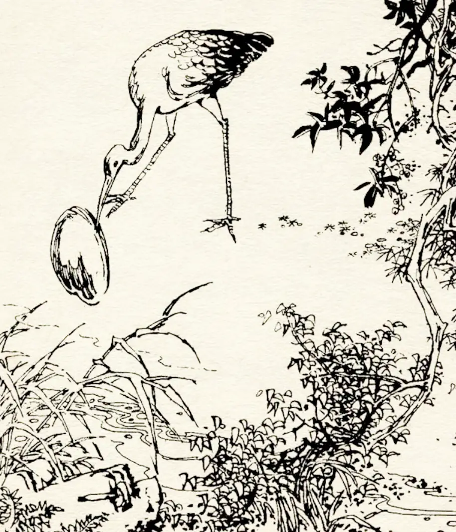 成语故事：鹬蚌相争，渔翁得利