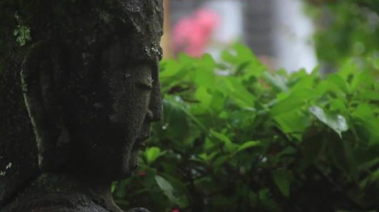 禅中有境界，诗中有人生-第23张图片-非凡网