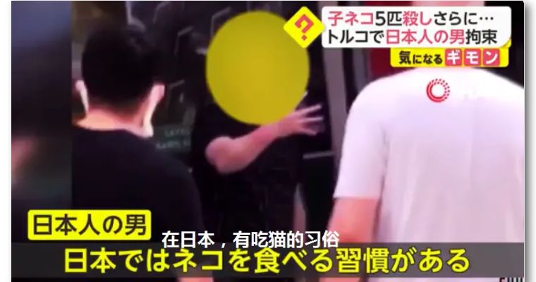 日本男子在土耳其杀猫吃被逮捕，辩称是日本习俗，结果日网民炸了