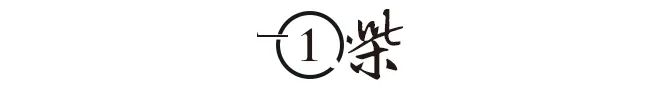 4歲學中醫，14歲皈依，38歲出家，41歲做方丈，這女博士真牛