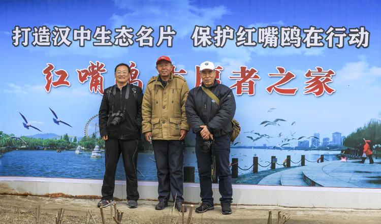 汉中《海鸥之家》呼吁：请带一个馒头来观赏可爱小精灵—红嘴鸥！