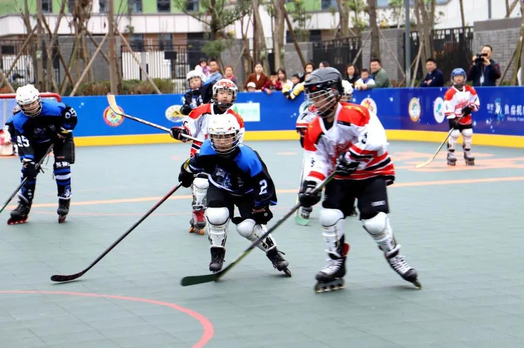 成都市华阳中学附属小学2021学年春季兴趣课程全攻略