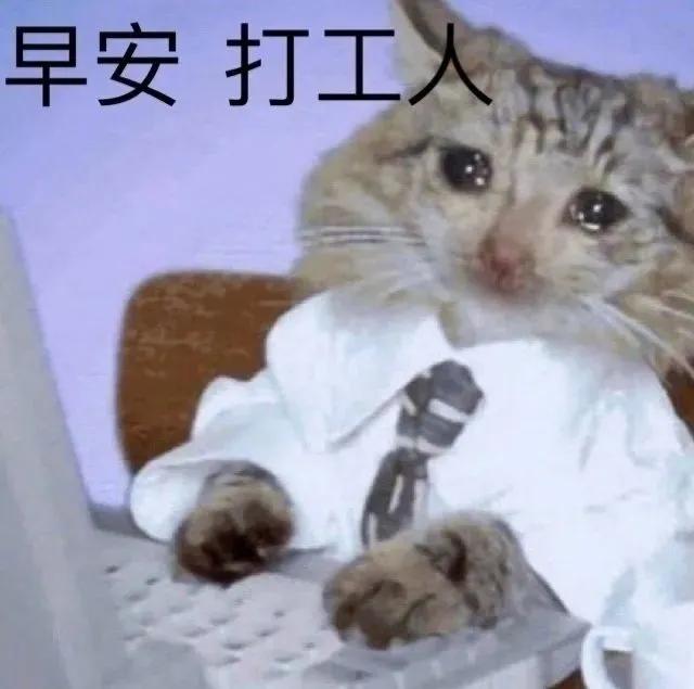 2020 10大网络流行语排行榜与词义,豪横这梗怎么没有?