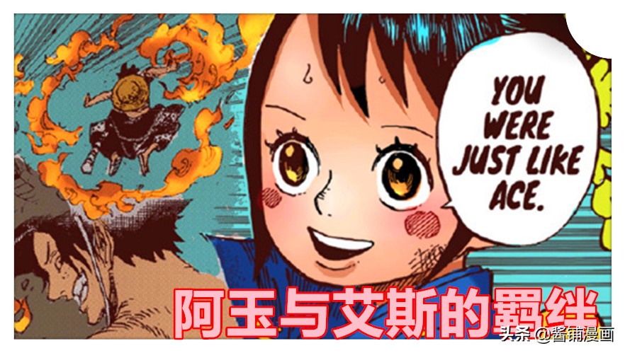海賊王官方情報，尾田公布阿玉的生命卡，並解答吃了何種惡魔果實