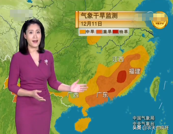 俗语“冬至中，单衣就过冬”，今年哪天冬至？暖冬已成定局了吗？