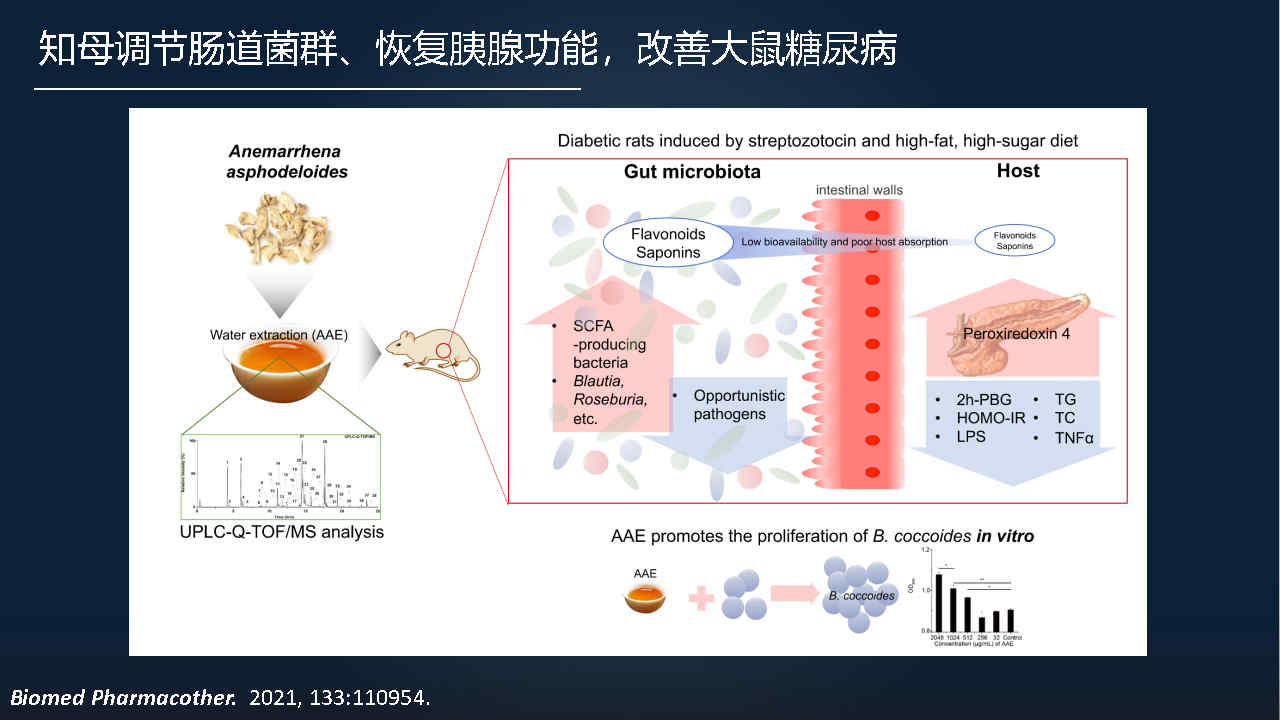 马百平：20分钟详解从有效成分到肠道菌群，中药如何突破？