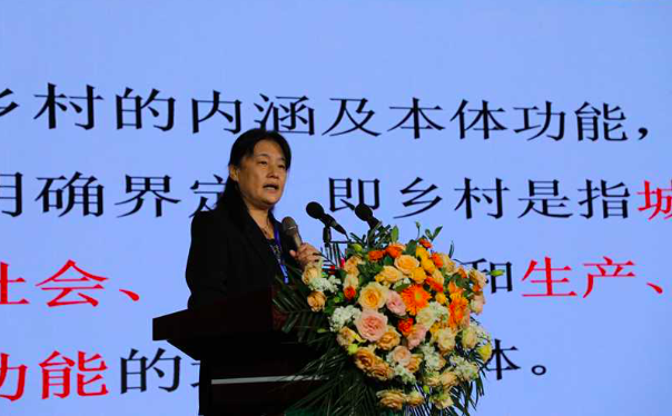 研討交流舉措，推廣經(jīng)驗(yàn)做法，首屆中國(guó)鄉(xiāng)村文化產(chǎn)業(yè)創(chuàng)新發(fā)展大會(huì)舉辦