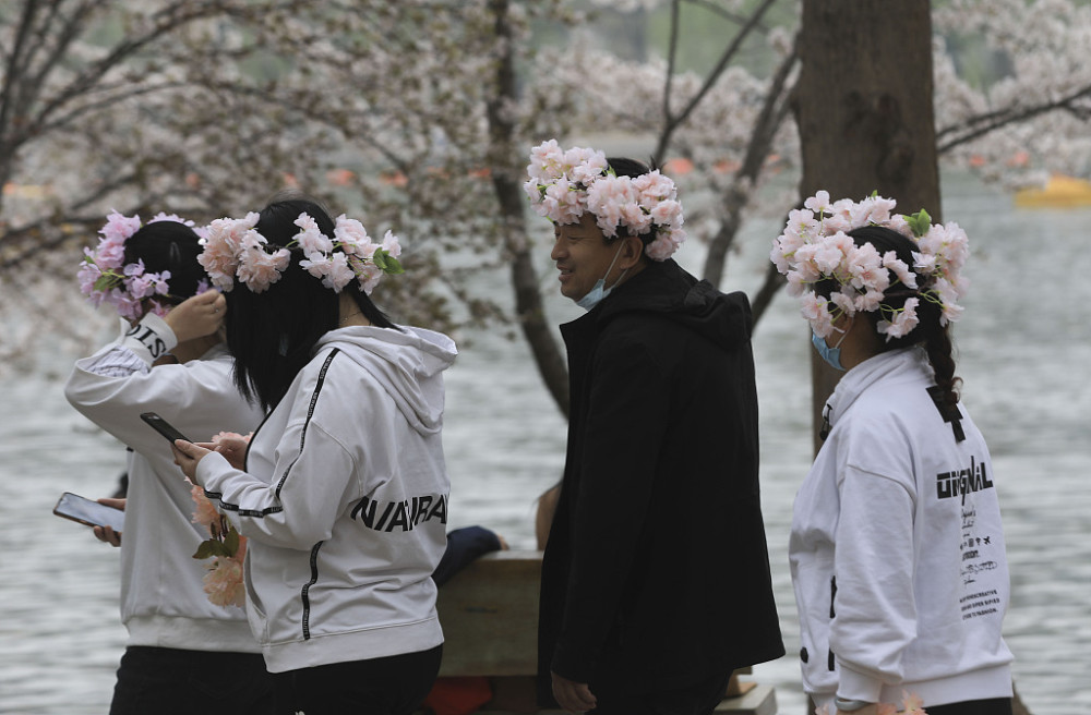 Yang Ying basks in oriental cherry to be patted oneself, pool of Beijing jade deep is admired cherry main forces is crowded explode, or curtilage the Yun Shangying in the home