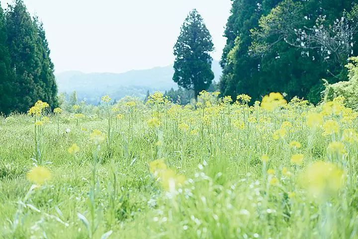 私藏 | 这7部不在电影院上的好片，我要宅在家刷完！
