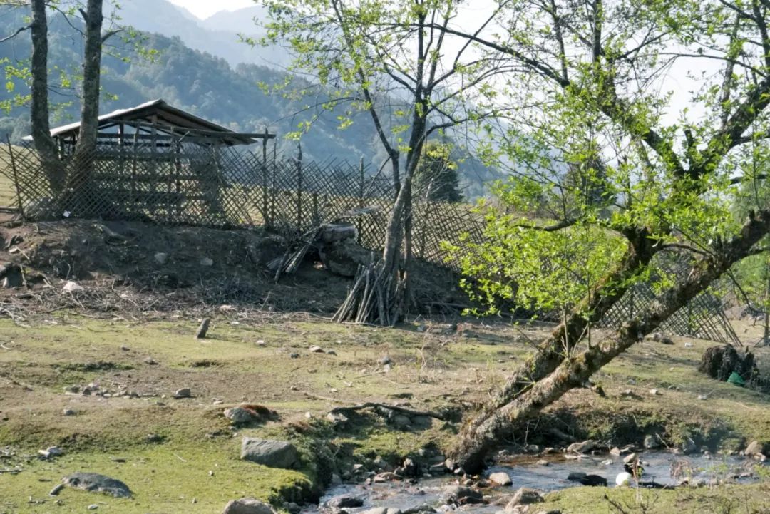 硬核！央视《味道》拍摄在腾冲完美收官！