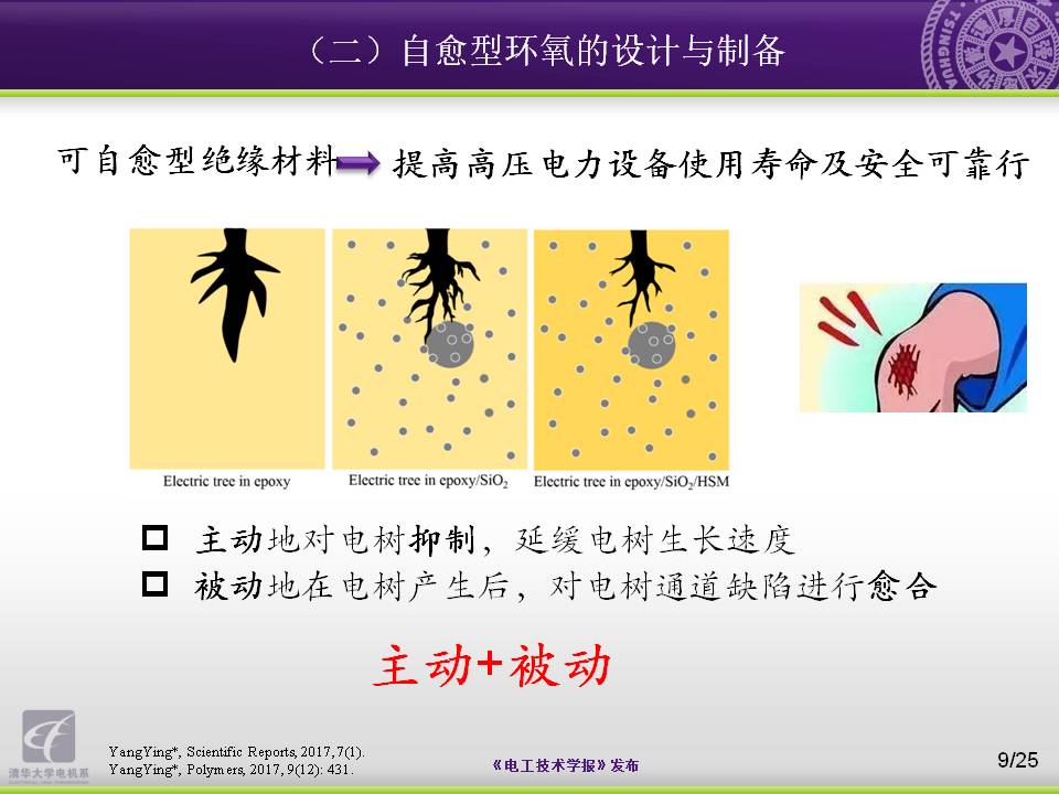 清华大学电机系杨颖副教授：向大自然学习，电工材料的设计与制备