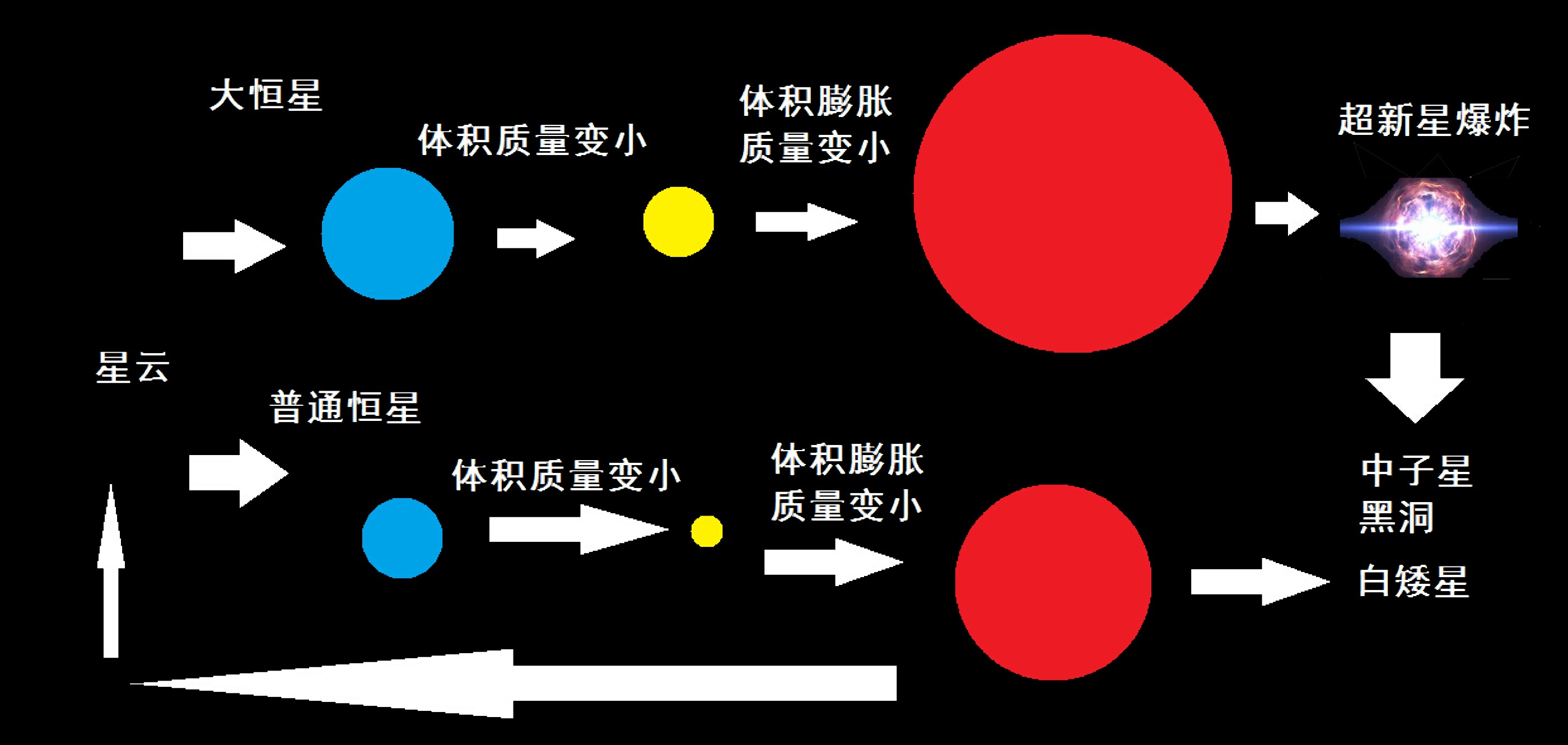 白矮星不断吞食伴星物质，增加自身质量，为啥体积反而变小呢？