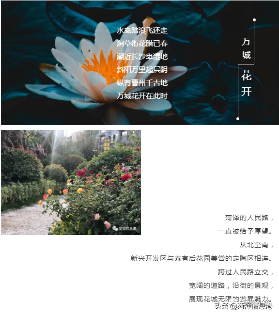 ǻ߲ʵַƣ뾰¥12ϯ
