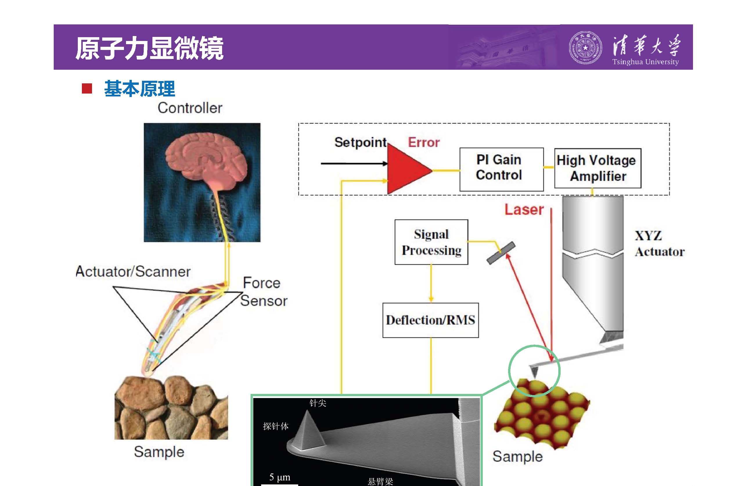 清华大学李琦副教授：介电纳米复合材料界面微区的原位测试技术