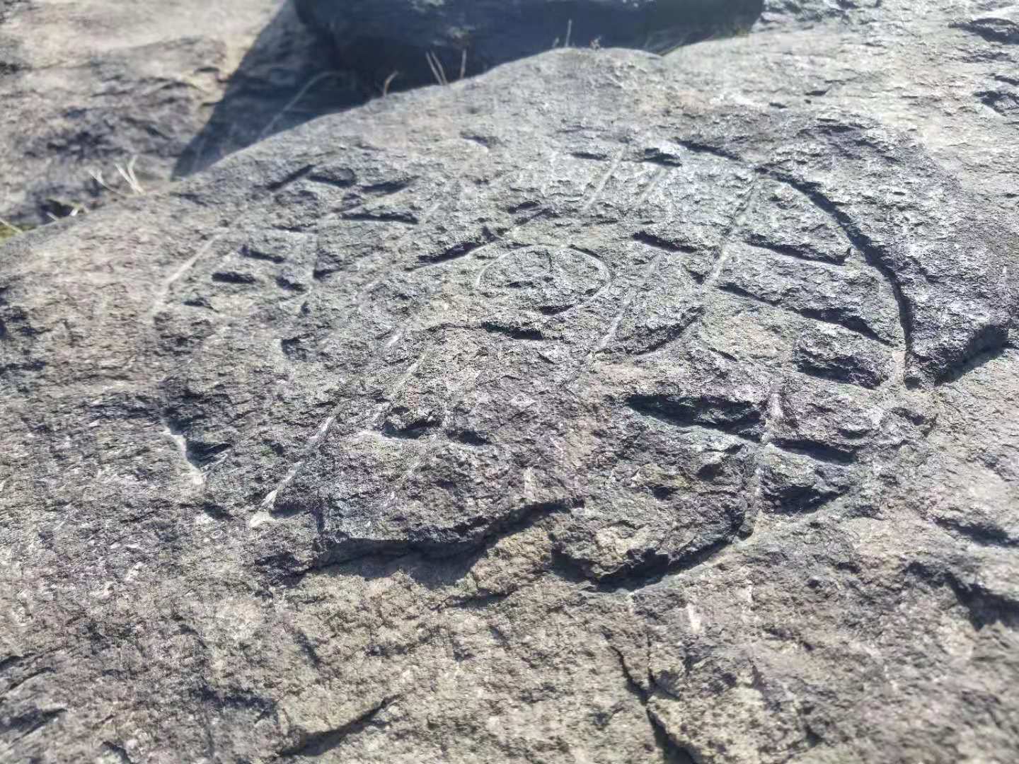 重大考古发现：合肥首次发现大规模史前凹穴岩画群