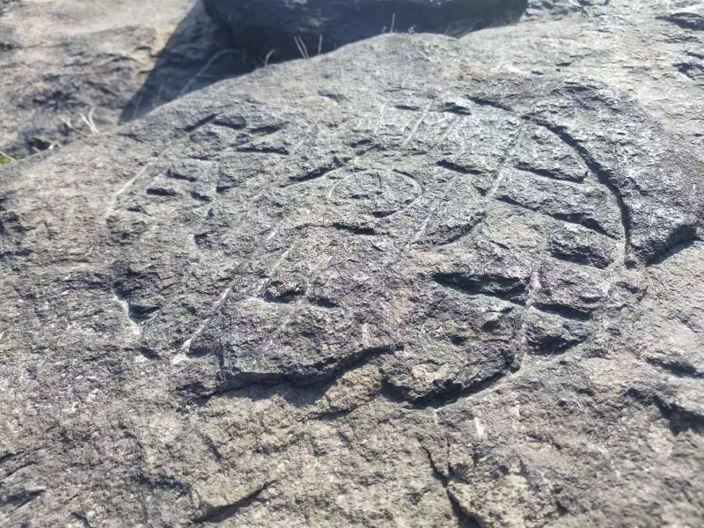 重大考古发现：合肥首次发现大规模史前凹穴岩画群